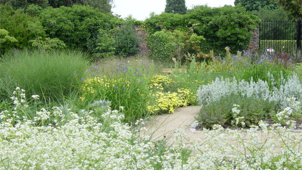 Charlton House herbaceous borders