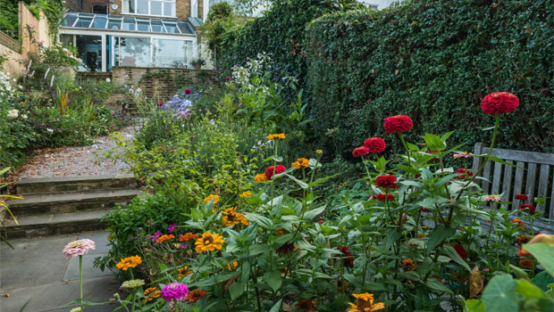 Flowers on Putney Garden