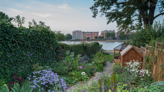 Garden for Putney Riverside Property