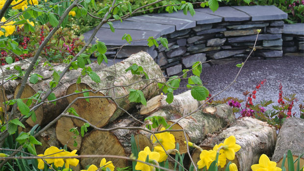 Woodland Walk Design Cardiff