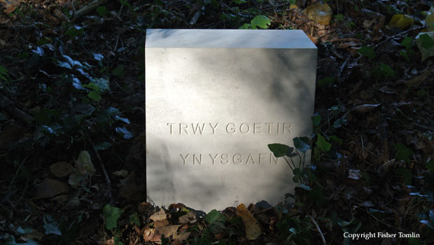 TRWY GOETIR YN YSGAFN