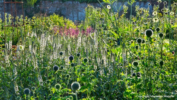 Veitch Heritage Garden