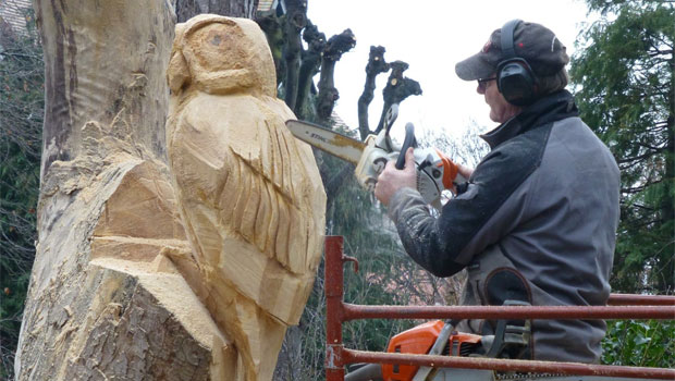 Chain saw sculpting