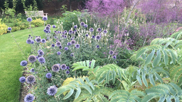 Herbaceous border