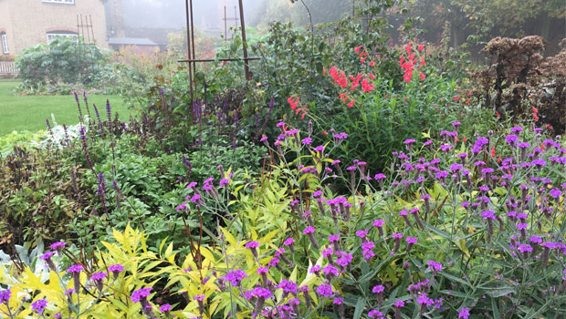 Herbaceous border